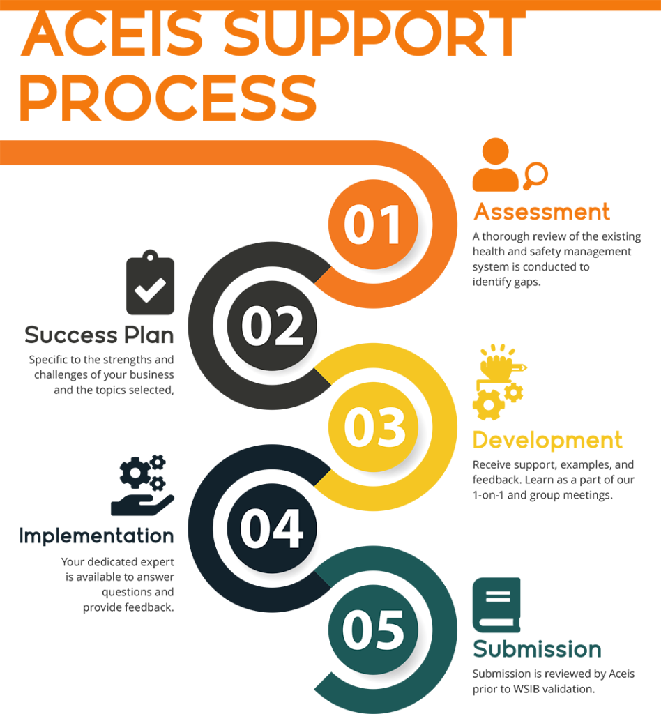 aceis hsep support process with success plan step 2